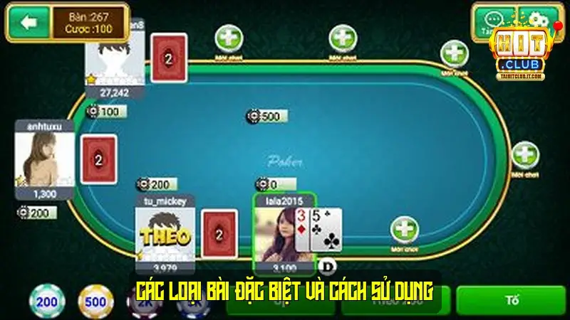 Các loại bài đặc biệt và cách sử dụng