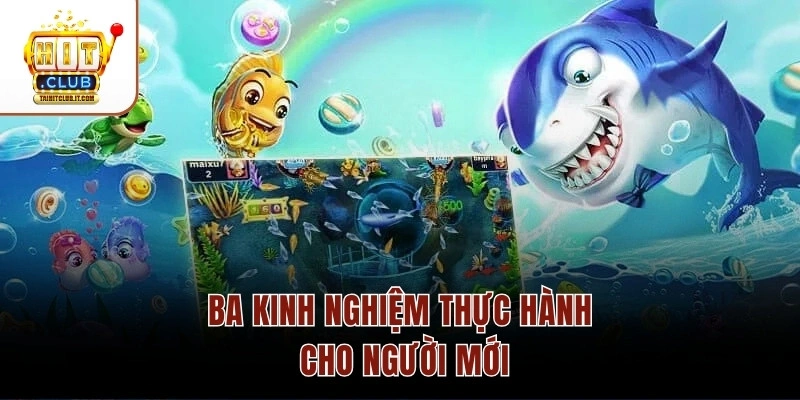 Ba kinh nghiệm thực hành cho người mới