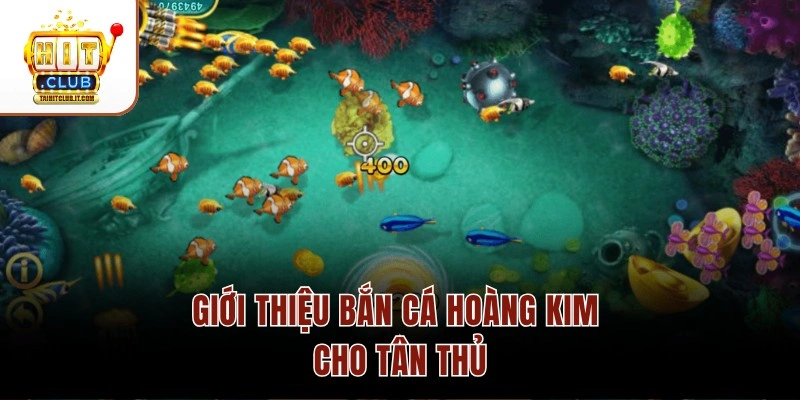 Giới thiệu bắn cá Hoàng Kim cho tân thủ